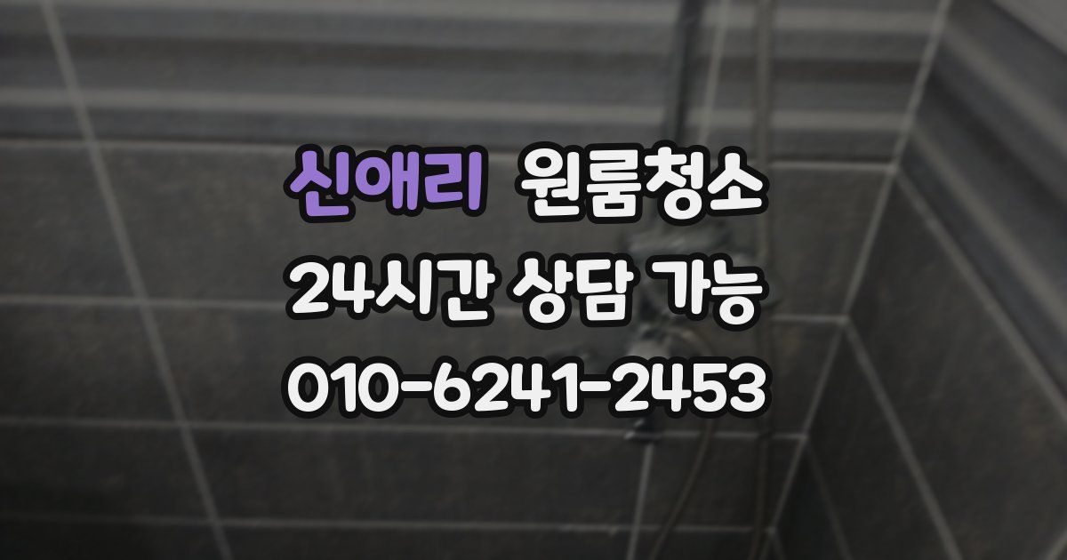 신애리 입주청소