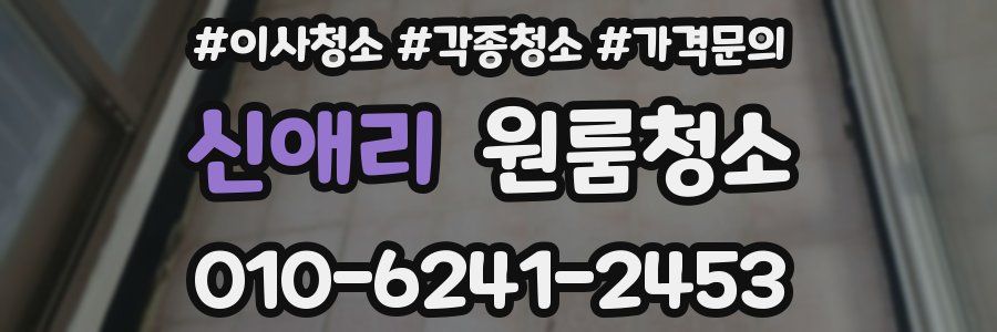 신애리 이사청소