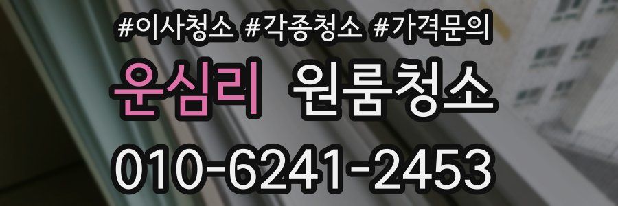 운심리 이사청소