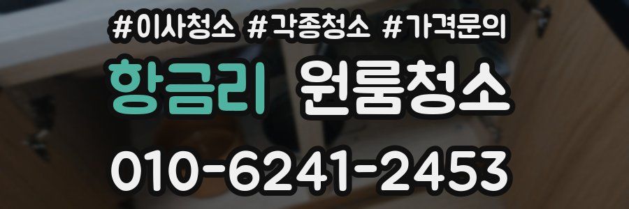 항금리 이사청소