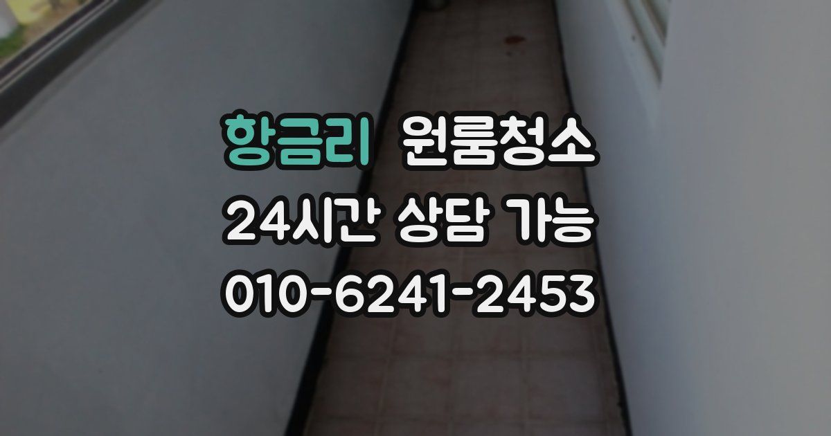 항금리 입주청소