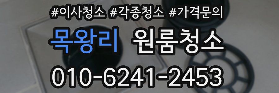 목왕리 이사청소