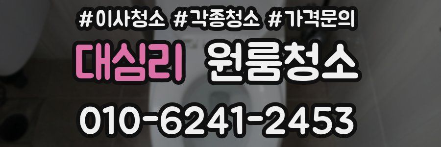 대심리 이사청소