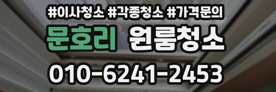 문호리 이사청소