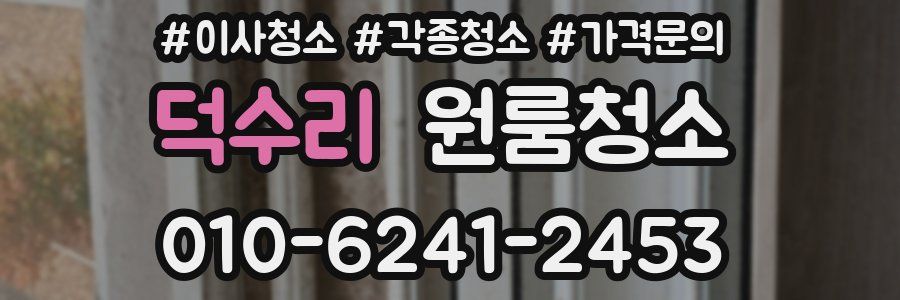덕수리 이사청소