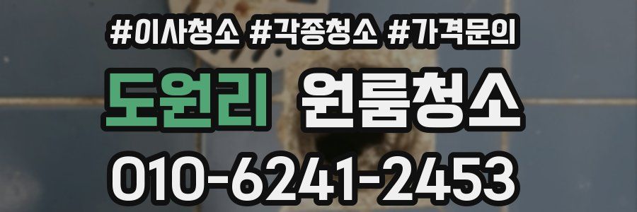 도원리 이사청소