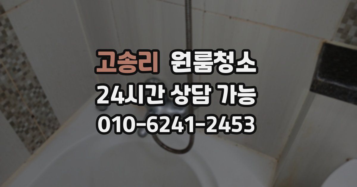 고송리 입주청소