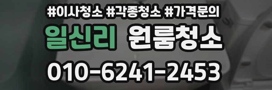 일신리 이사청소