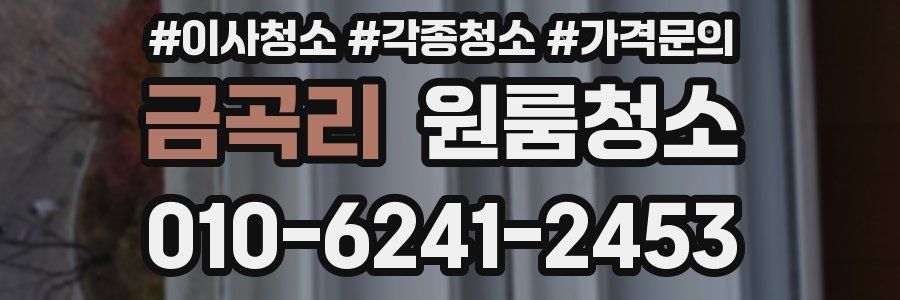 금곡리 이사청소