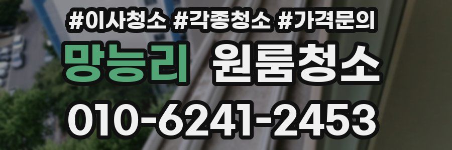 망능리 이사청소