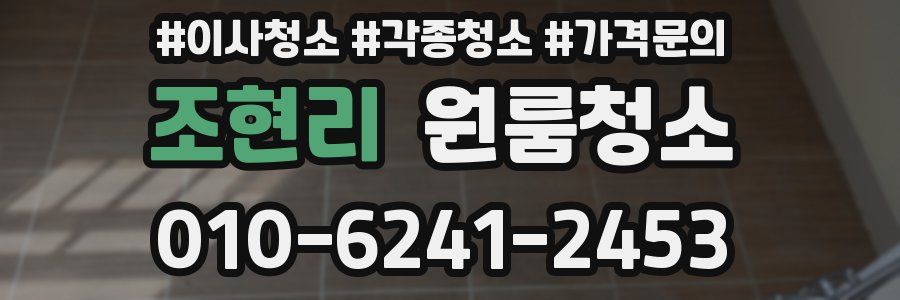 조현리 이사청소