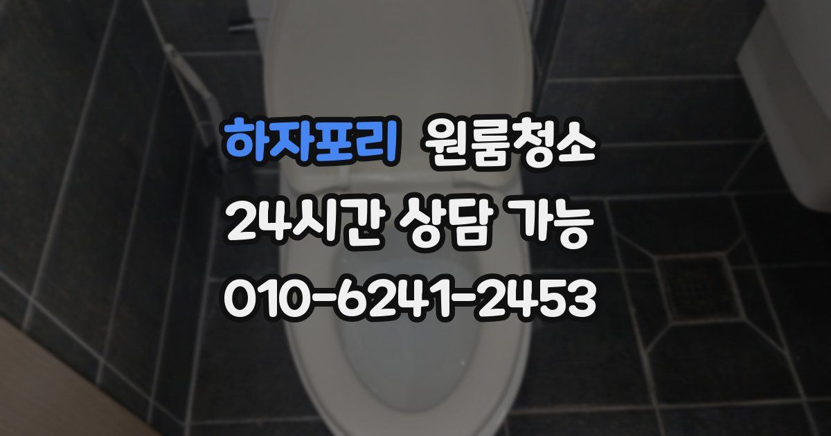 하자포리 입주청소