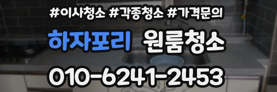 하자포리 이사청소