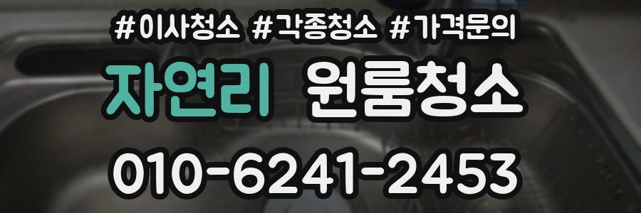 자연리 이사청소