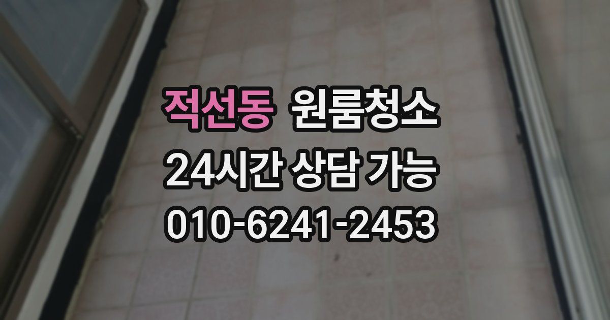 적선동 입주청소