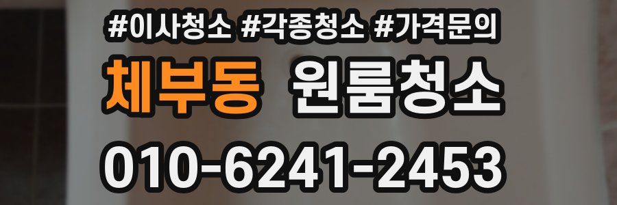 체부동 이사청소