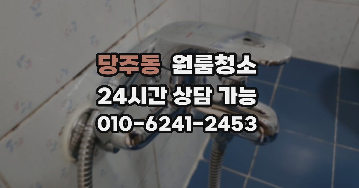 당주동 입주청소