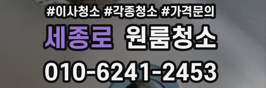 세종로 이사청소