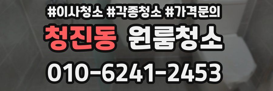 청진동 이사청소