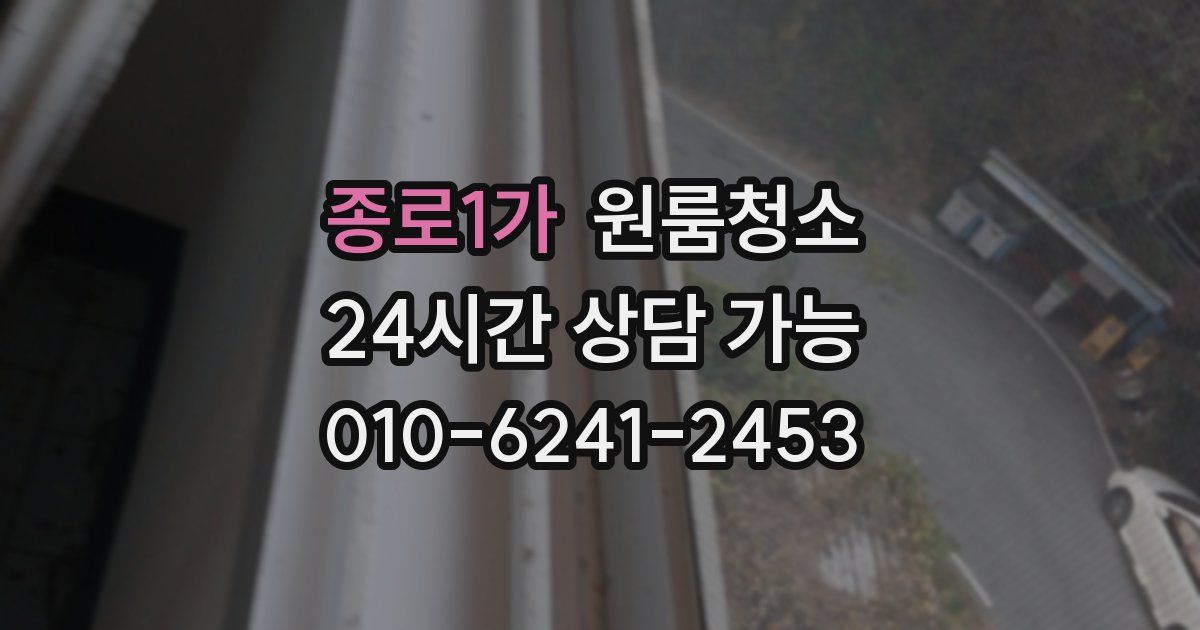 종로1가 입주청소