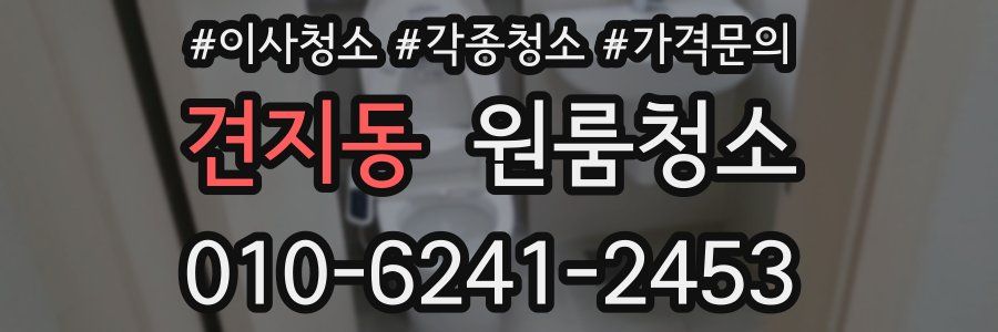 견지동 이사청소