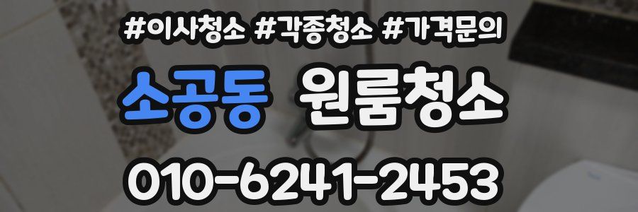 소공동 이사청소