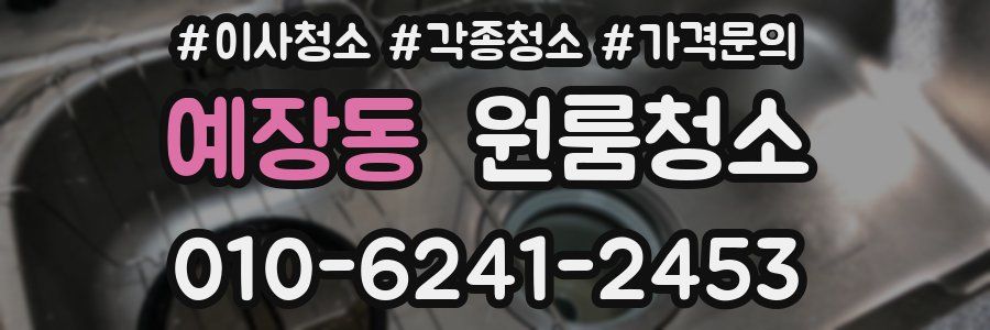 예장동 이사청소