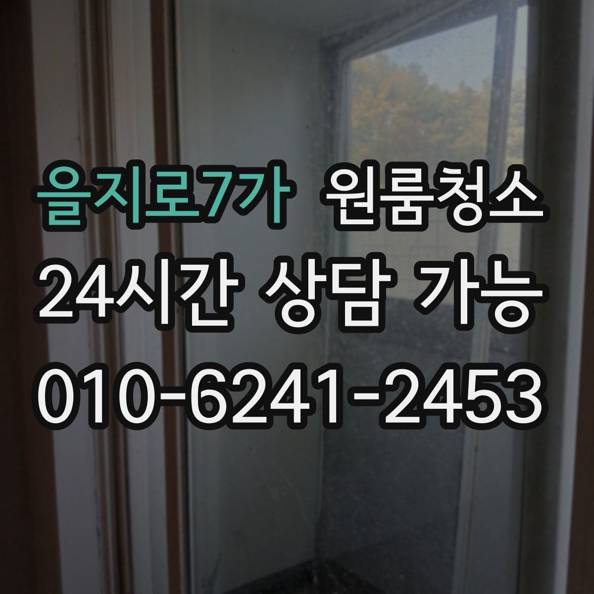 을지로7가 원룸청소