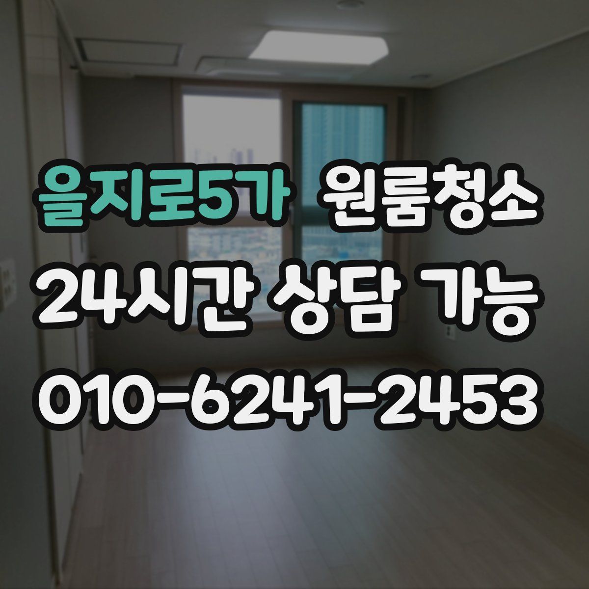 을지로5가 원룸청소