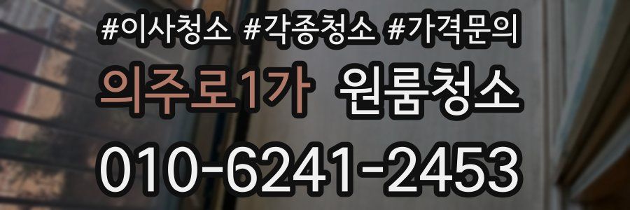 의주로1가 이사청소