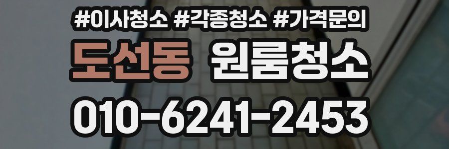 도선동 이사청소