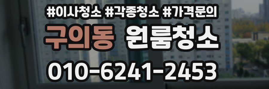 구의동 이사청소