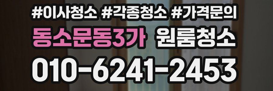 동소문동3가 이사청소