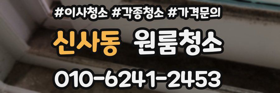 신사동 이사청소