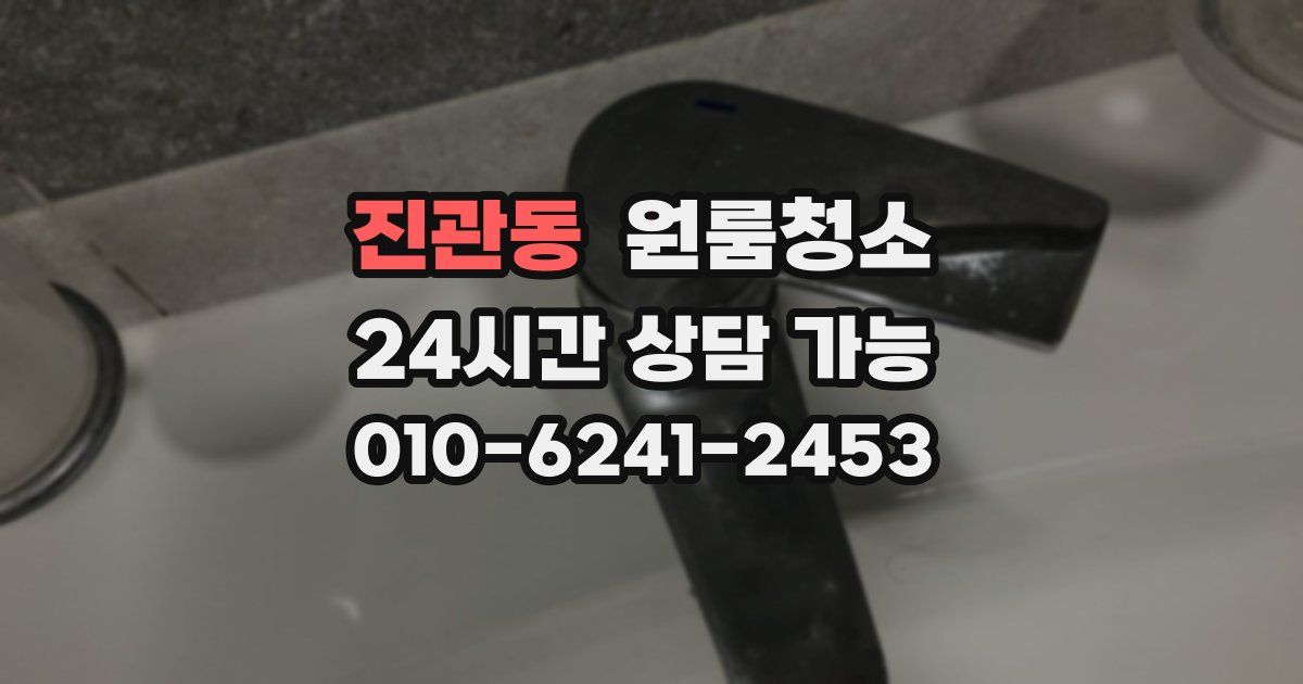 진관동 입주청소