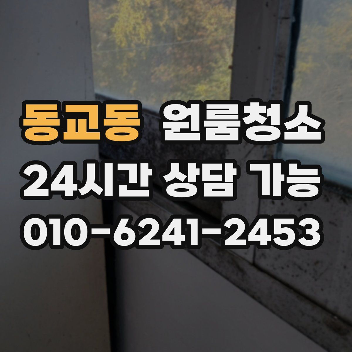 동교동 원룸청소