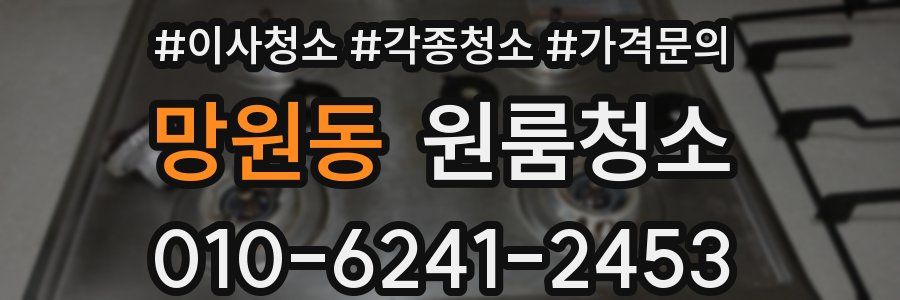 망원동 이사청소