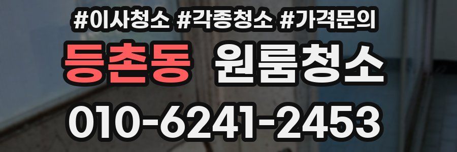 등촌동 이사청소