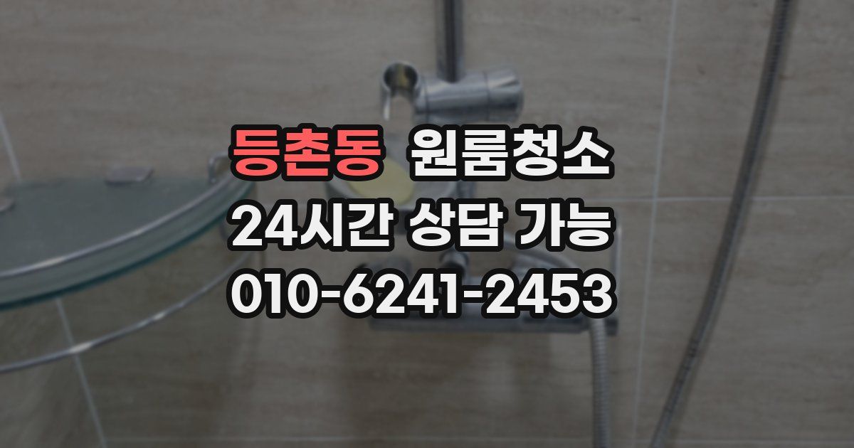 등촌동 입주청소