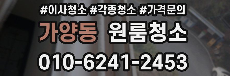 가양동 이사청소