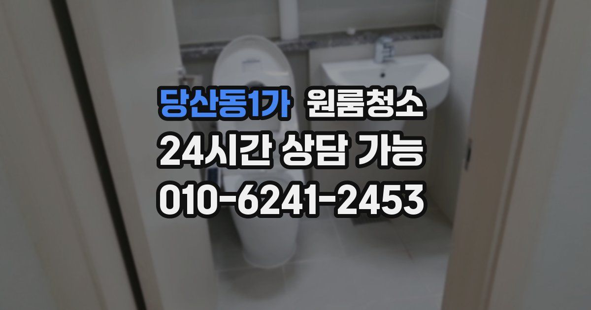 당산동1가 입주청소