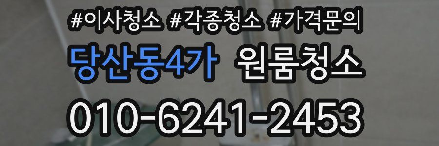 당산동4가 이사청소