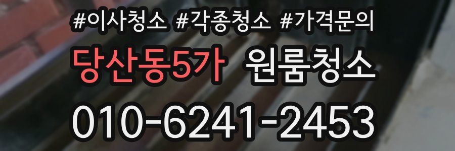 당산동5가 이사청소