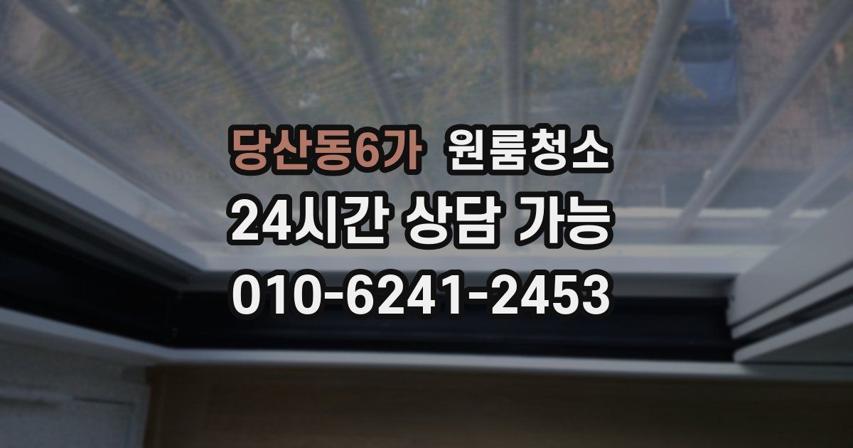 당산동6가 입주청소