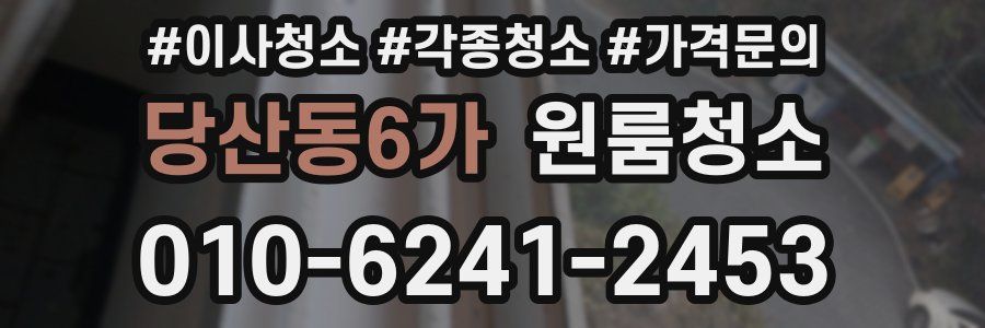 당산동6가 이사청소