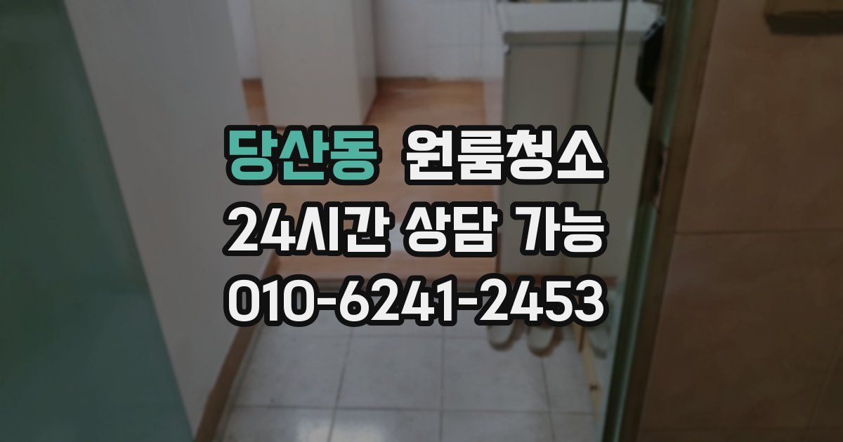 당산동 입주청소