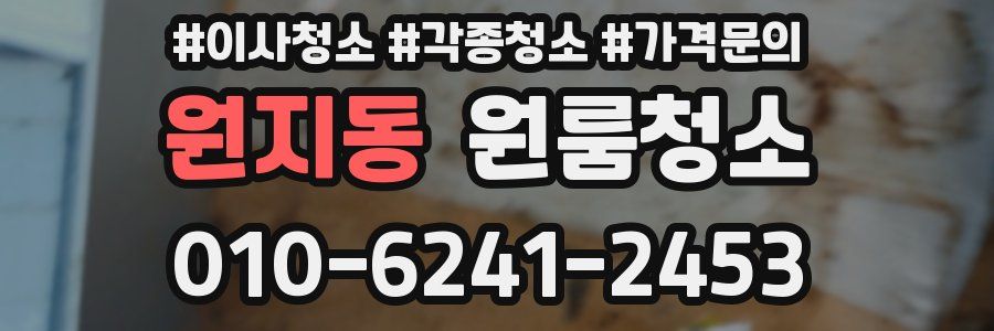 원지동 이사청소