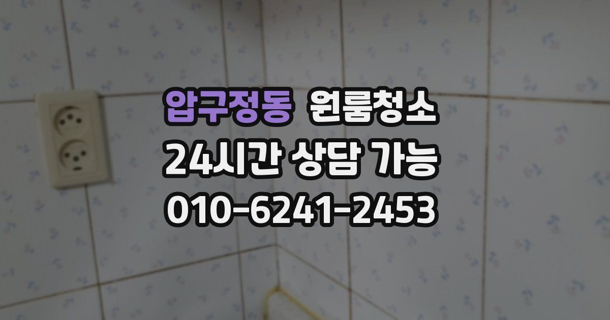 압구정동 입주청소