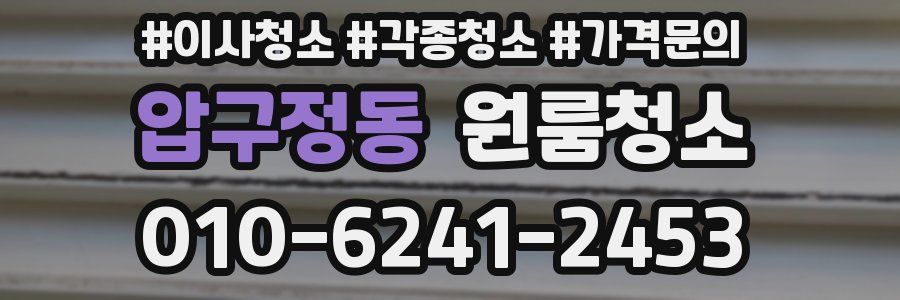 압구정동 이사청소