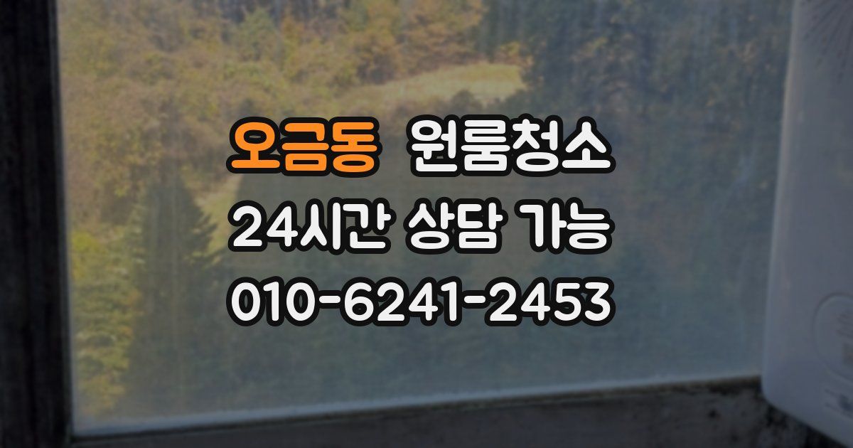 오금동 입주청소